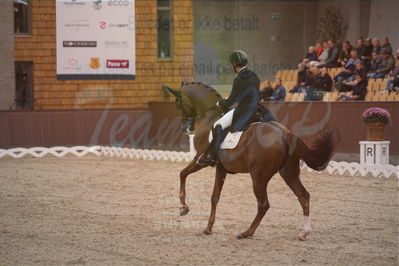 Dansk Rideforbunds Championats finaler 2019 dressur
Dansk Rideforbunds Championats finaler 2018
7 års
Nøgleord: d'avie;severo jurado lopez