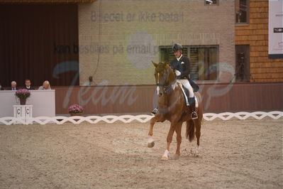 Dansk Rideforbunds Championats finaler 2019 dressur
Dansk Rideforbunds Championats finaler 2018
7 års
Nøgleord: vichy pax;joachim chr thomsen