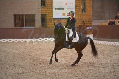 Dansk Rideforbunds Championats finaler 2019 dressur
Dansk Rideforbunds Championats finaler 2018
7 års
Nøgleord: icing for you;meike lang