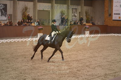 Dansk Rideforbunds Championats finaler 2019 dressur
Dansk Rideforbunds Championats finaler 2018
7 års
Nøgleord: fürsten-flame;anne sofie aaen