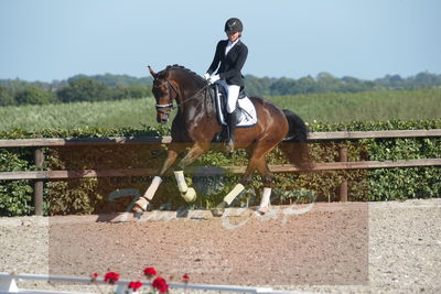 Blue Hors Dressuchampionat 2019 4års
Billeder fra stævnet
Nøgleord: zirocco overskovlund;laura thorup