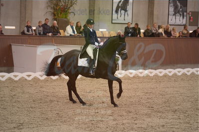 Dansk Rideforbunds Championats finaler 2019 dressur
Dansk Rideforbunds Championats finaler 2018
7 års
Nøgleord: fürsten-flame;anne sofie aaen