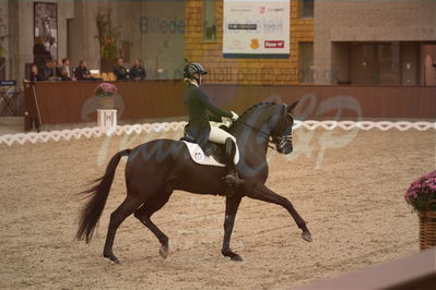 Dansk Rideforbunds Championats finaler 2019 dressur
Dansk Rideforbunds Championats finaler 2018
7 års
Nøgleord: uno don olympic;anna zibrandtsen