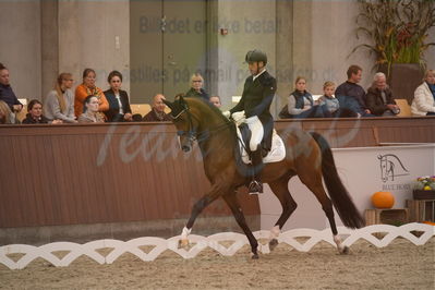 Dansk Rideforbunds Championats finaler 2019 dressur
Dansk Rideforbunds Championats finaler 2018
7 års
Nøgleord: hesselhøj donkey boy;jan møller christensen