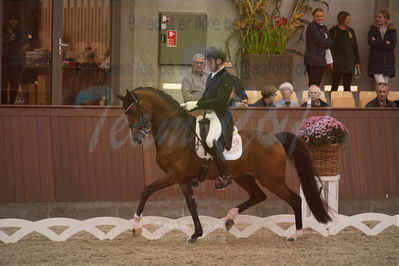 Dansk Rideforbunds Championats finaler 2019 dressur
Dansk Rideforbunds Championats finaler 2018
7 års
Nøgleord: hesselhøj donkey boy;jan møller christensen