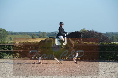 Blue Hors Dressuchampionat 2019 4års
Billeder fra stævnet
Nøgleord: evo shubidoo;betina laisbo