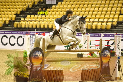 Worldcup Herning 2019
Nøgleord: lily engelsman;don juan