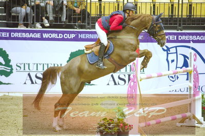 Worldcup Herning 2019
Nøgleord: rikke hasstrup kristensen;balouca z