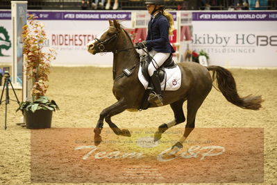 Showjumping
Nord-vest cup åpny 3-2-1
Nøgleord: josefine emilie uhd-nielsen;salsmoses princess