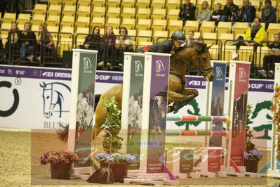 Showjumping
Nord-vest cup åpny 3-2-1
Nøgleord: laurids haabendal;tai run