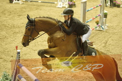 Worldcup Herning 2019
Csi3 grandprix 150cm
Nøgleord: louisa müller;salitos 9