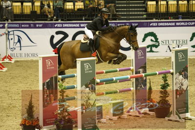 Worldcup Herning 2019
Csi3 grandprix 150cm
Nøgleord: louisa müller;salitos 9