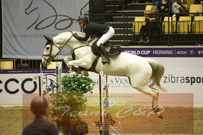 Worldcup Herning 2019
Csi3 grandprix 150cm
Nøgleord: benedikte rie truelsen;cassina z