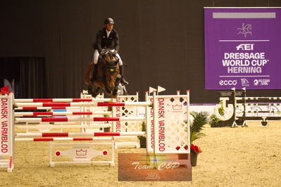 Showjumping
stutteri ask  gp 150cm
Nøgleord: marco kutcher;boeckmanns lord pezi jinor