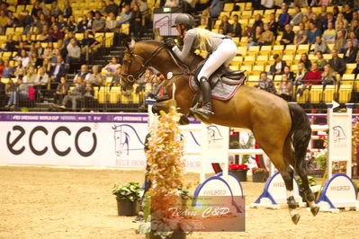 Showjumping
stutteri ask  gp 150cm
Nøgleord: christine thirup christensen;vedric