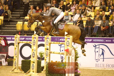 Showjumping
stutteri ask  gp 150cm
Nøgleord: christine thirup christensen;vedric