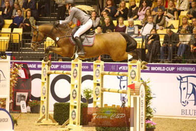 Showjumping
stutteri ask  gp 150cm
Nøgleord: christine thirup christensen;vedric