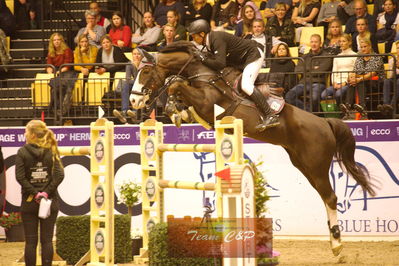 Showjumping
stutteri ask  gp 150cm
Nøgleord: jörg naeve;hh fleur