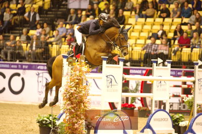 Showjumping
stutteri ask  gp 150cm
Nøgleord: toshiki masui;jericho s