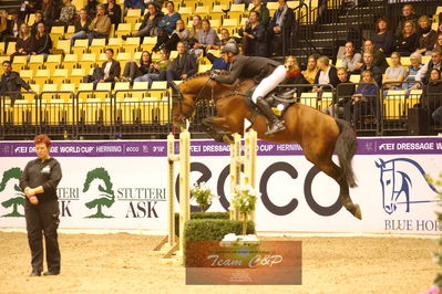 Showjumping
stutteri ask  gp 150cm
Nøgleord: marco kutcher;hh fleur