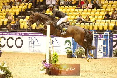 Showjumping
csi3 145cm
Nøgleord: marco kutcher;charco