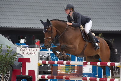 dm 2019
csi2 145cm int.
Nøgleord: anna persson;camelon