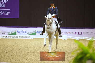 dressage
grandprix kür
Nøgleord: hans peter  minderhoud;glock's zansrdi