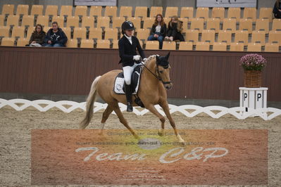 Ecco Cup finaler 2019
Kat 1 ponyer
Nøgleord: nadja junker larsen;bossa nova bitsch