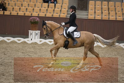 Ecco Cup finaler 2019
Kat 1 ponyer
Nøgleord: nadja junker larsen;bossa nova bitsch