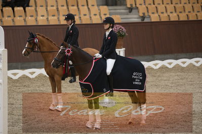 Ecco Cup finaler 2019
Kat 1 ponyer
Nøgleord: liva addy guldager nielsen;d'artagnan 187;lap of honour