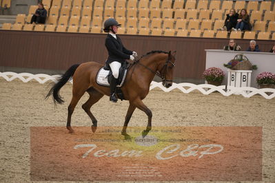 Ecco Cup finaler 2019
kat 2 ponier
Nøgleord: karoline mathilde ravnsbo;nørlunds beatrice