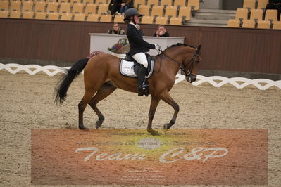 Ecco Cup finaler 2019
kat 2 ponier
Nøgleord: karoline mathilde ravnsbo;nørlunds beatrice