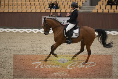 Ecco Cup finaler 2019
kat 2 ponier
Nøgleord: karoline mathilde ravnsbo;nørlunds beatrice