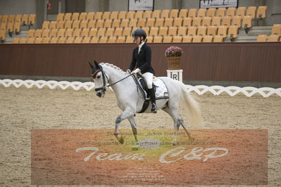 Ecco Cup finaler 2019
kat 2 ponier
Nøgleord: olivia bille jensen;pegasus