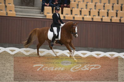 Ecco Cup finaler 2019
kat 2 ponier
Nøgleord: sofie gandrup;bruno mars-g