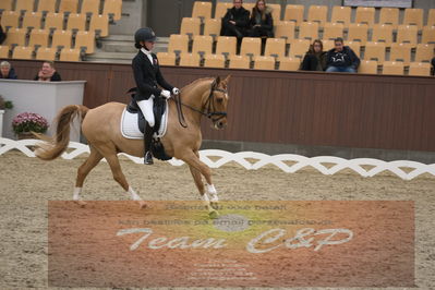 Ecco Cup finaler 2019
kat 2 ponier
Nøgleord: fie dybro jensen;kavsgaards dundee