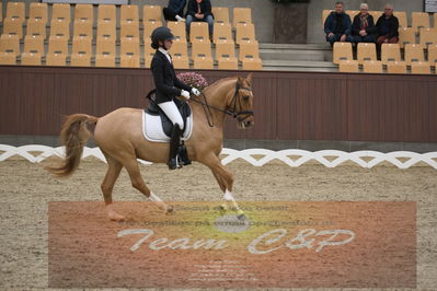 Ecco Cup finaler 2019
kat 2 ponier
Nøgleord: fie dybro jensen;kavsgaards dundee