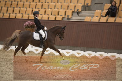 Ecco Cup finaler 2019
kat 2 ponier
Nøgleord: johanne kofoed jensen;aurora a