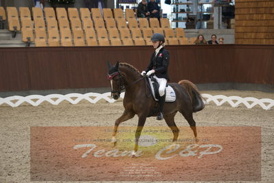 Ecco Cup finaler 2019
kat 2 ponier
Nøgleord: johanne kofoed jensen;aurora a