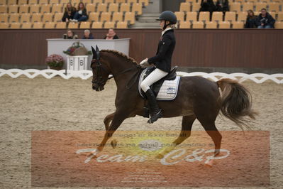 Ecco Cup finaler 2019
kat 2 ponier
Nøgleord: johanne kofoed jensen;aurora a