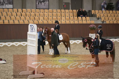 Ecco Cup finaler 2019
kat 2 ponier
Nøgleord: johanne kofoed jensen;aurora a;lap of honour