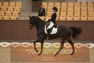 Ecco Cup Finaler 2019
Junior, u18
Nøgleord: camilla juul møller;gørklintgårds siriano