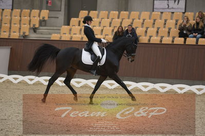 Ecco Cup Finaler 2019
Junior, u18
Nøgleord: camilla juul møller;gørklintgårds siriano