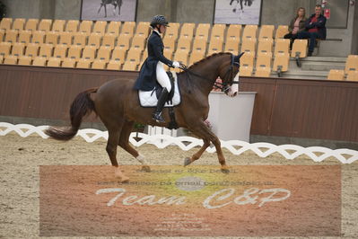 Ecco Cup Finaler 2019
Junior, u18
Nøgleord: frederikke blichfeld;heinsgårdens unik