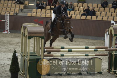 Dansk Rideforbunds Championats finaler 2018
Dansk Rideforbunds Championats finaler 2018 spring 5års
Nøgleord: bøgegårdens christiano;frederikke svendgaard