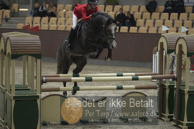 Dansk Rideforbunds Championats finaler 2018
Dansk Rideforbunds Championats finaler 2018 spring 5års
Nøgleord: syvhøjegårds johnny b good;monica bugge skibsted