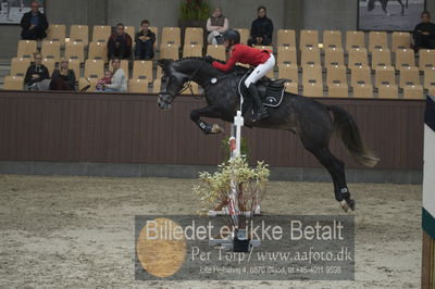 Dansk Rideforbunds Championats finaler 2018
Dansk Rideforbunds Championats finaler 2018 spring 5års
Nøgleord: syvhøjegårds johnny b good;monica bugge skibsted