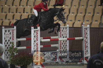 Dansk Rideforbunds Championats finaler 2018
Dansk Rideforbunds Championats finaler 2018 spring 5års
Nøgleord: syvhøjegårds johnny b good;monica bugge skibsted