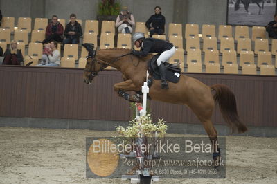 Dansk Rideforbunds Championats finaler 2018
Dansk Rideforbunds Championats finaler 2018 spring 5års
Nøgleord: happy thouhts;georgia timmermann