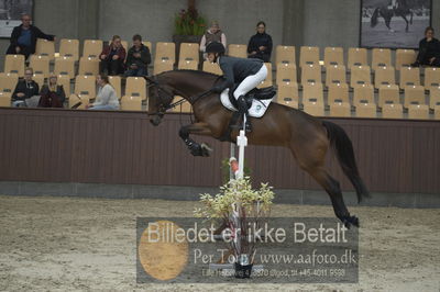 Dansk Rideforbunds Championats finaler 2018
Dansk Rideforbunds Championats finaler 2018 spring 5års
Nøgleord: hait ask;karen  møller rohde